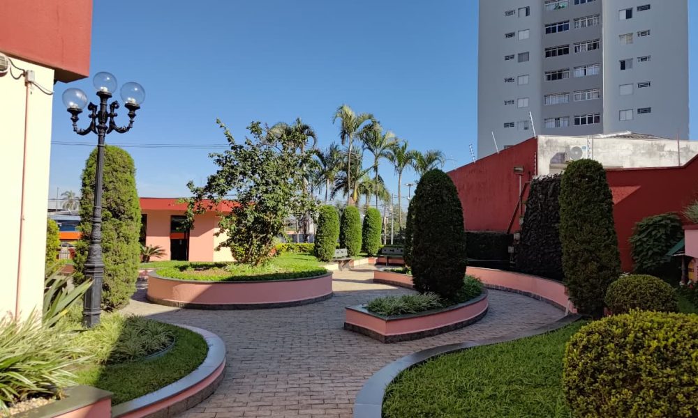 1559 (41)
